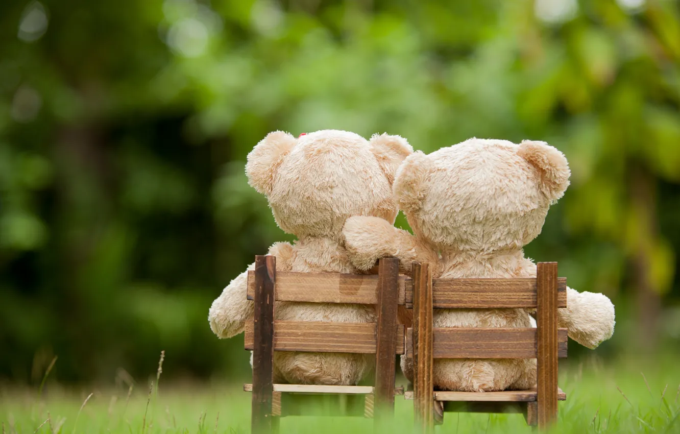 Фото обои любовь, игрушка, медведь, пара, love, двое, bear, park