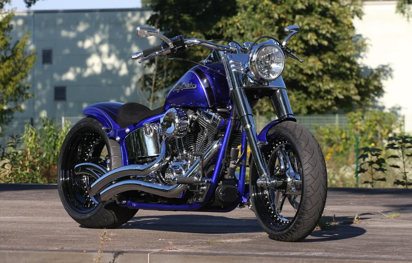 HD fat boy Custom Thunderbike