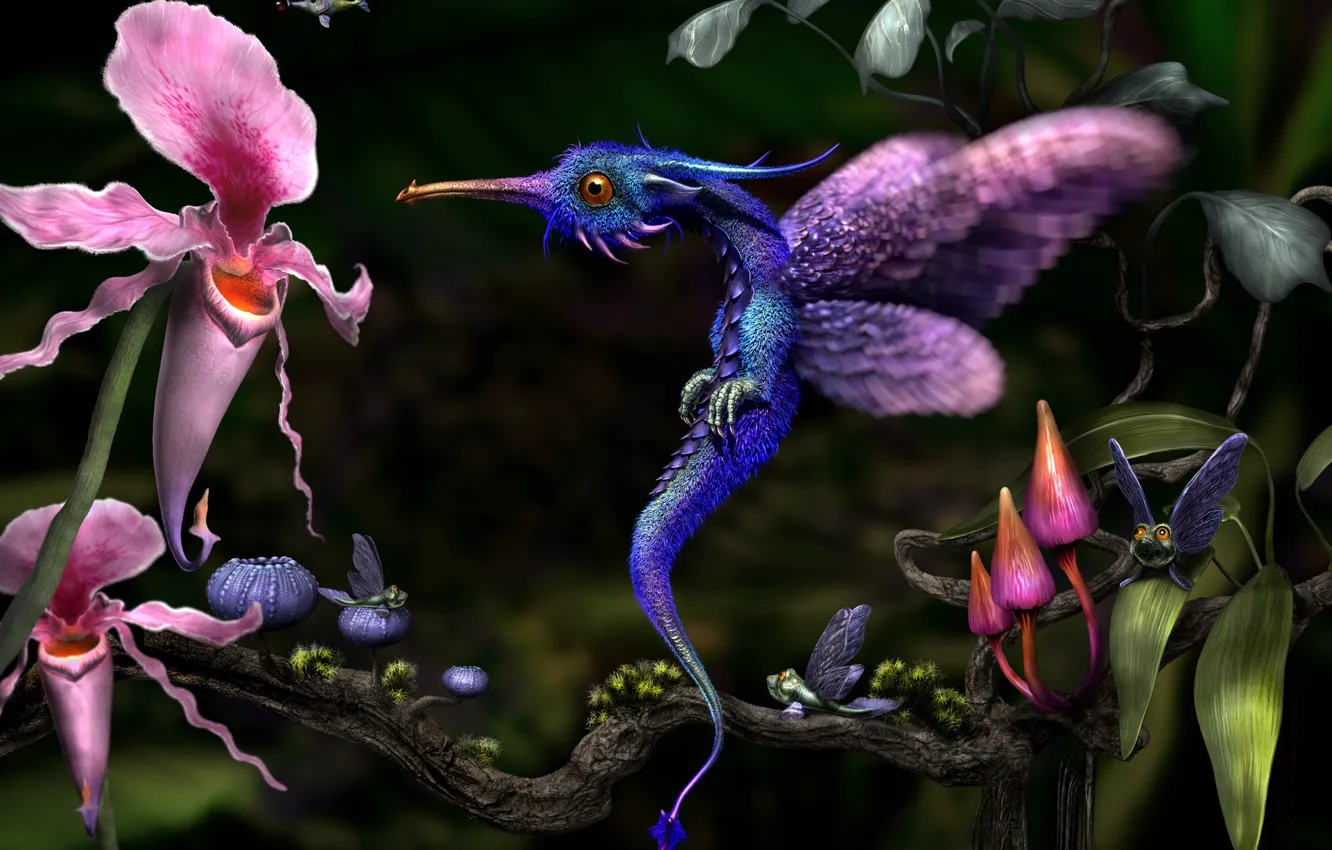 Фото обои растительность, существа, der kolibridrache letsch, The Hummingbird Dragon