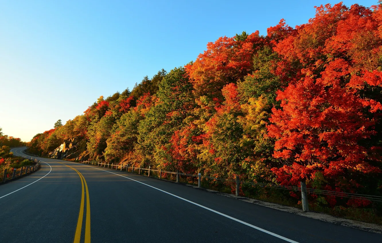 Фото обои road, trees, landscape, highway