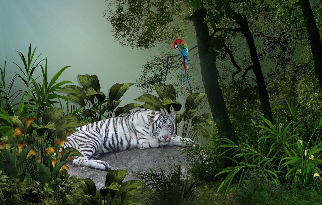Фото обои белый, листья, деревья, тигр, тропики, попугай