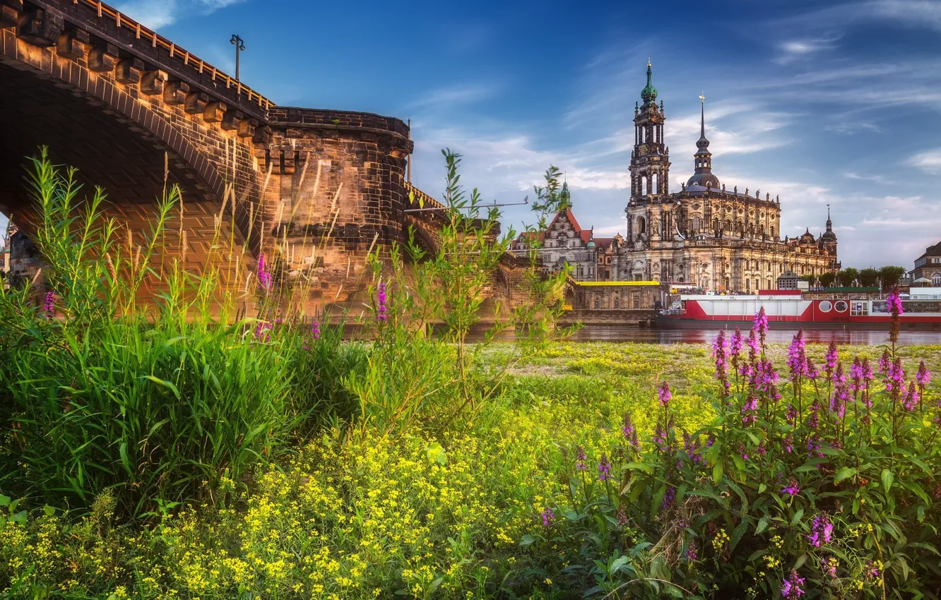 Фото обои город, Германия, Дрезден, луг, Dresden