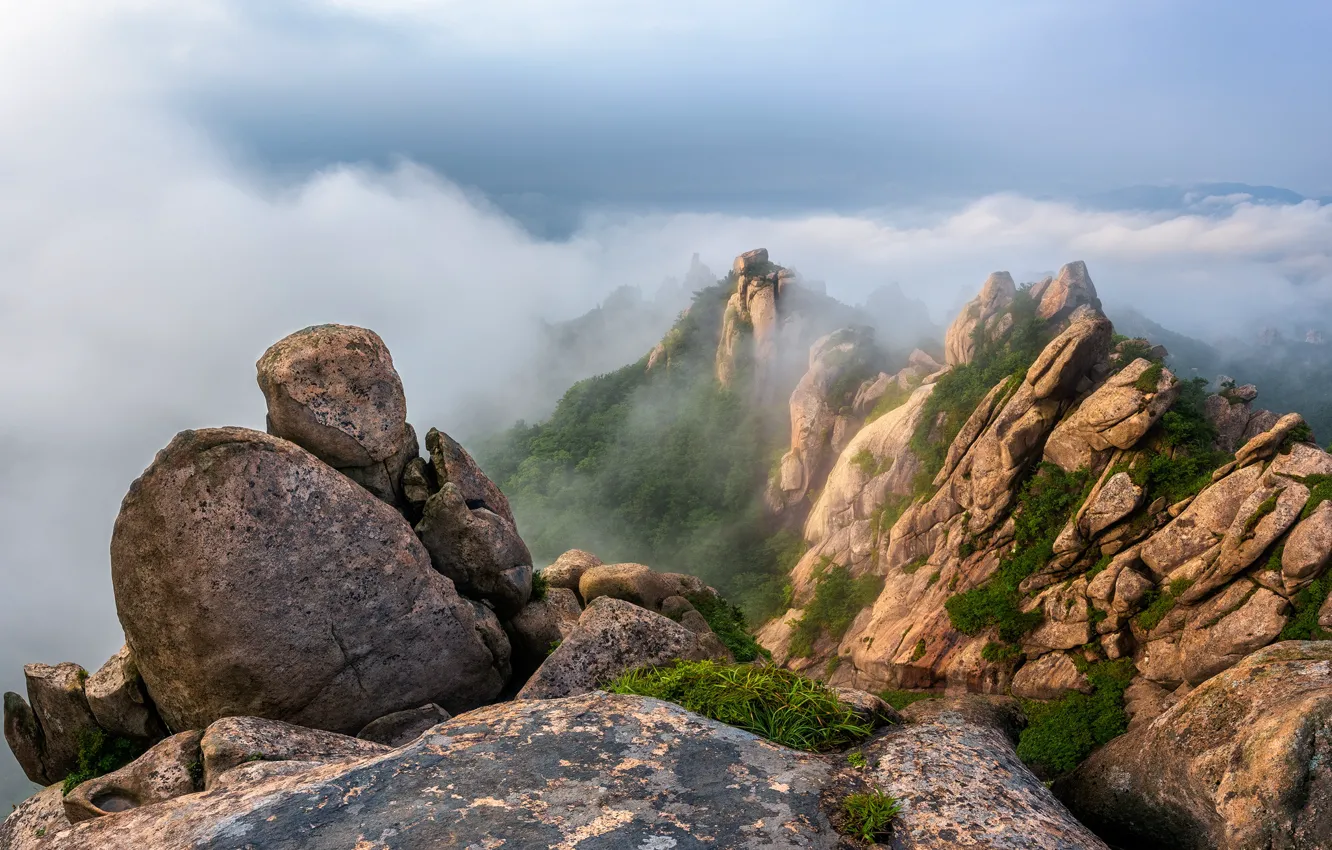 Фото обои облака, пейзаж, горы, природа, туман, Южная Корея, заповедник, Wolchulsan National Park