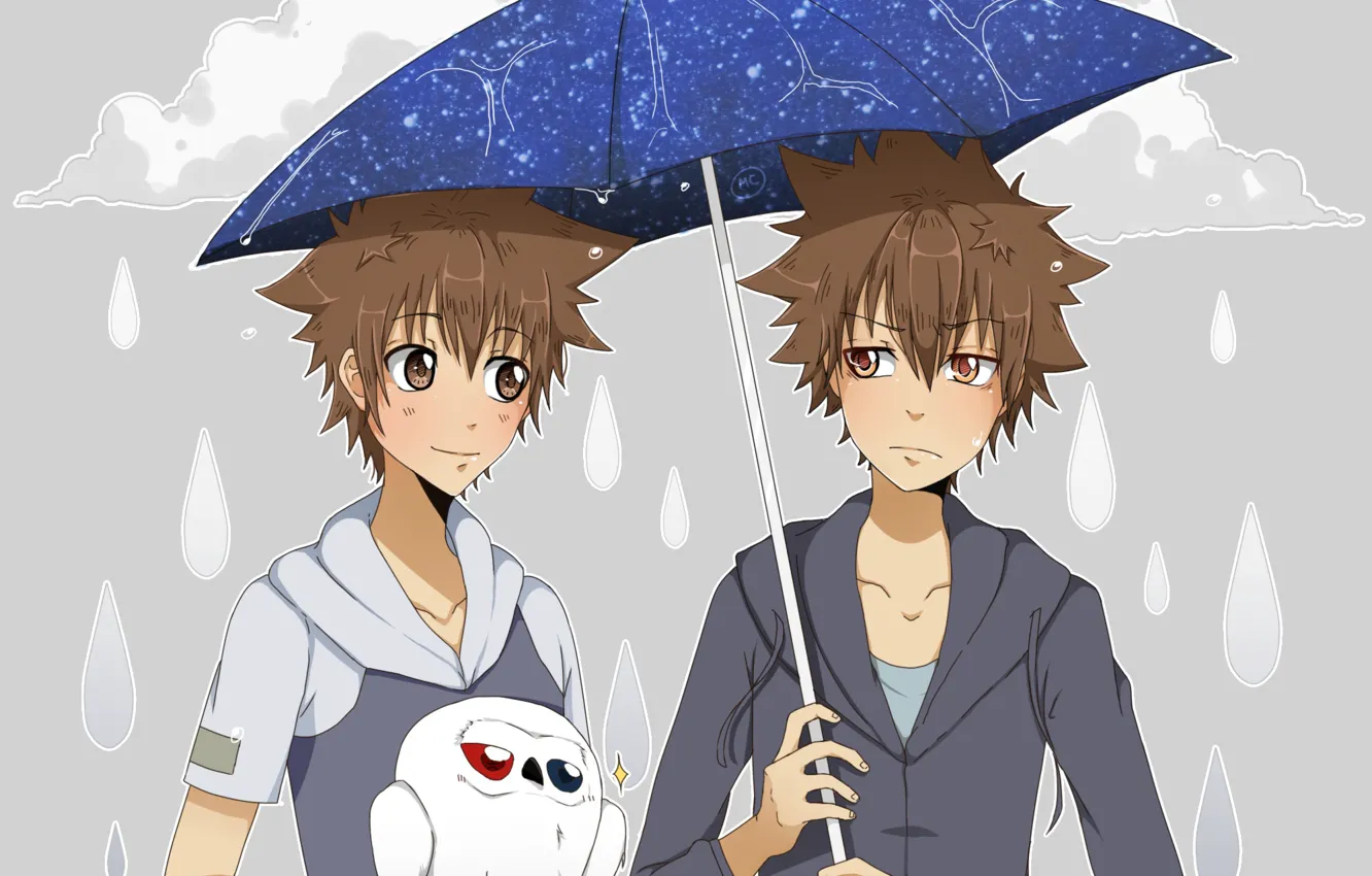 Фото обои дождь, зонт, птичка, Katekyo Hitman REBORN, Учитель мафиози Реборн, Савада Тсунаёши