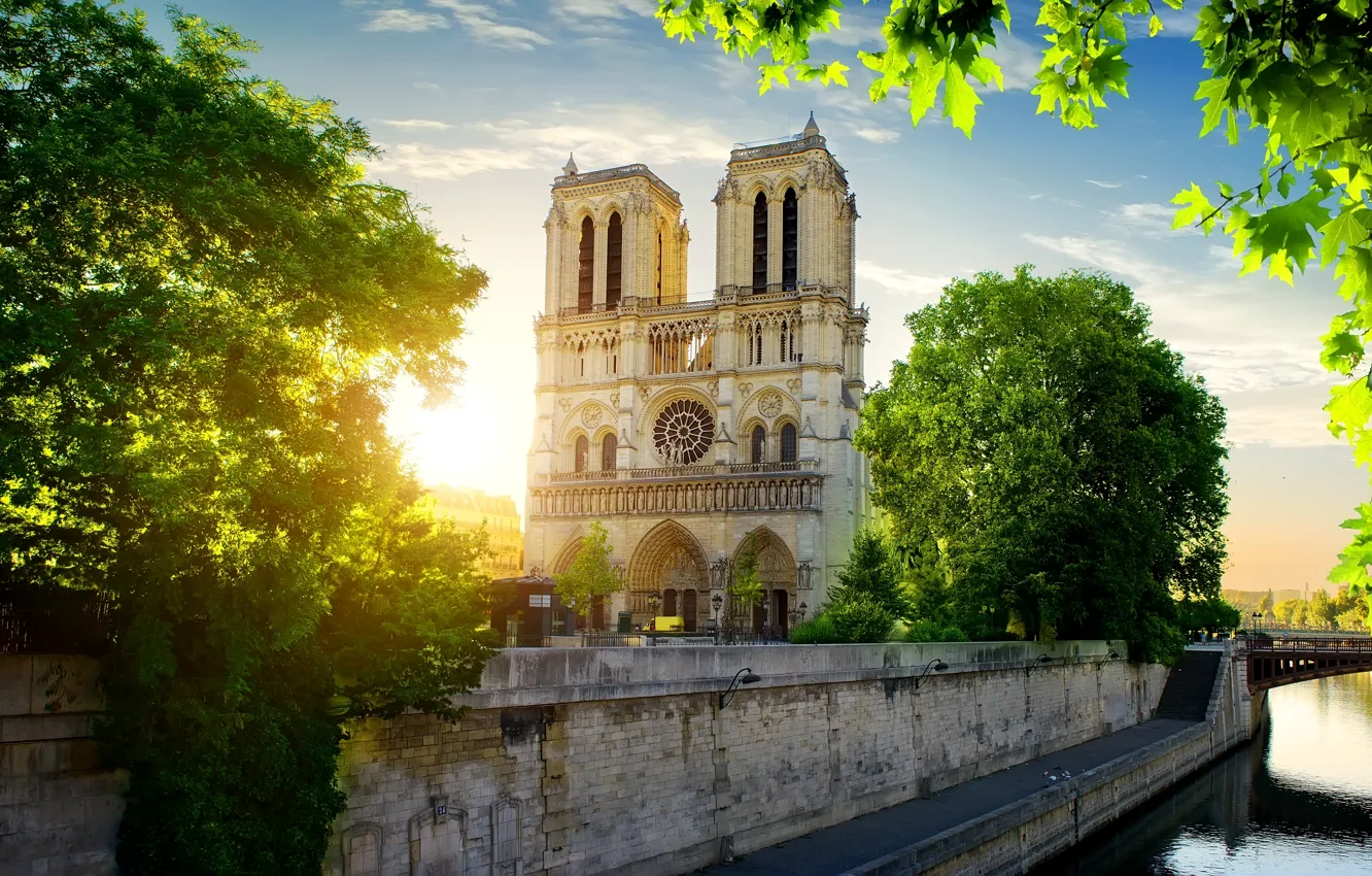 Фото обои Paris, France, Notre Dame