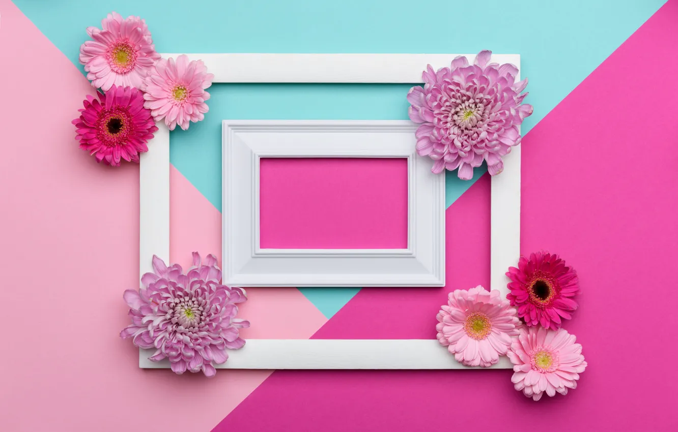 Фото обои цветы, фон, розовый, праздник, голубой, треугольники, цвет, рамка