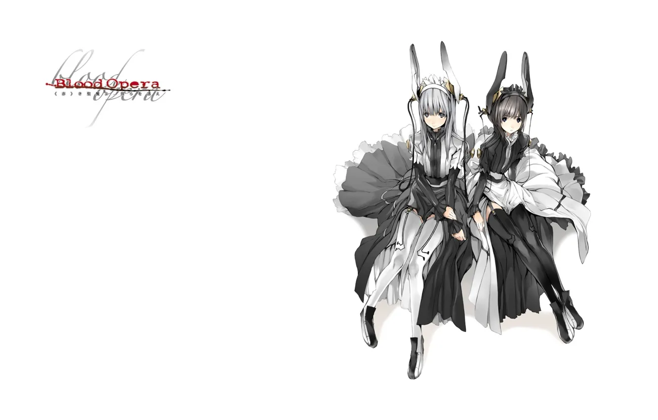 Фото обои девушки, чулки, белый фон, двое, ушки, art, оборки, Shungo Suvaki