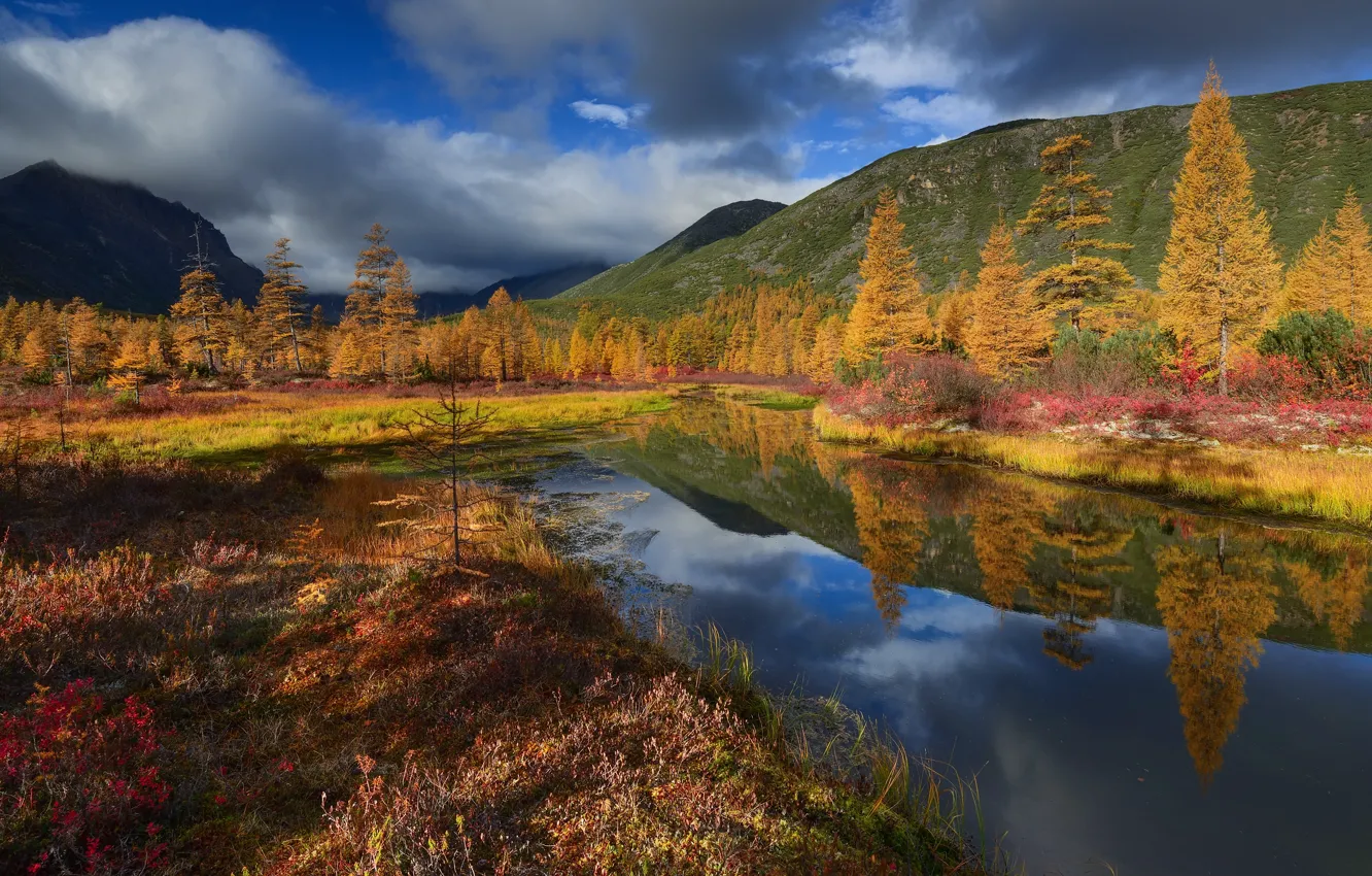 Фото обои осень, облака, пейзаж, природа, ручей, холмы, Колыма, Максим Евдокимов
