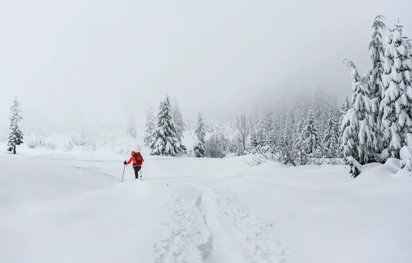 Фото обои зима, снег, человек, лыжник