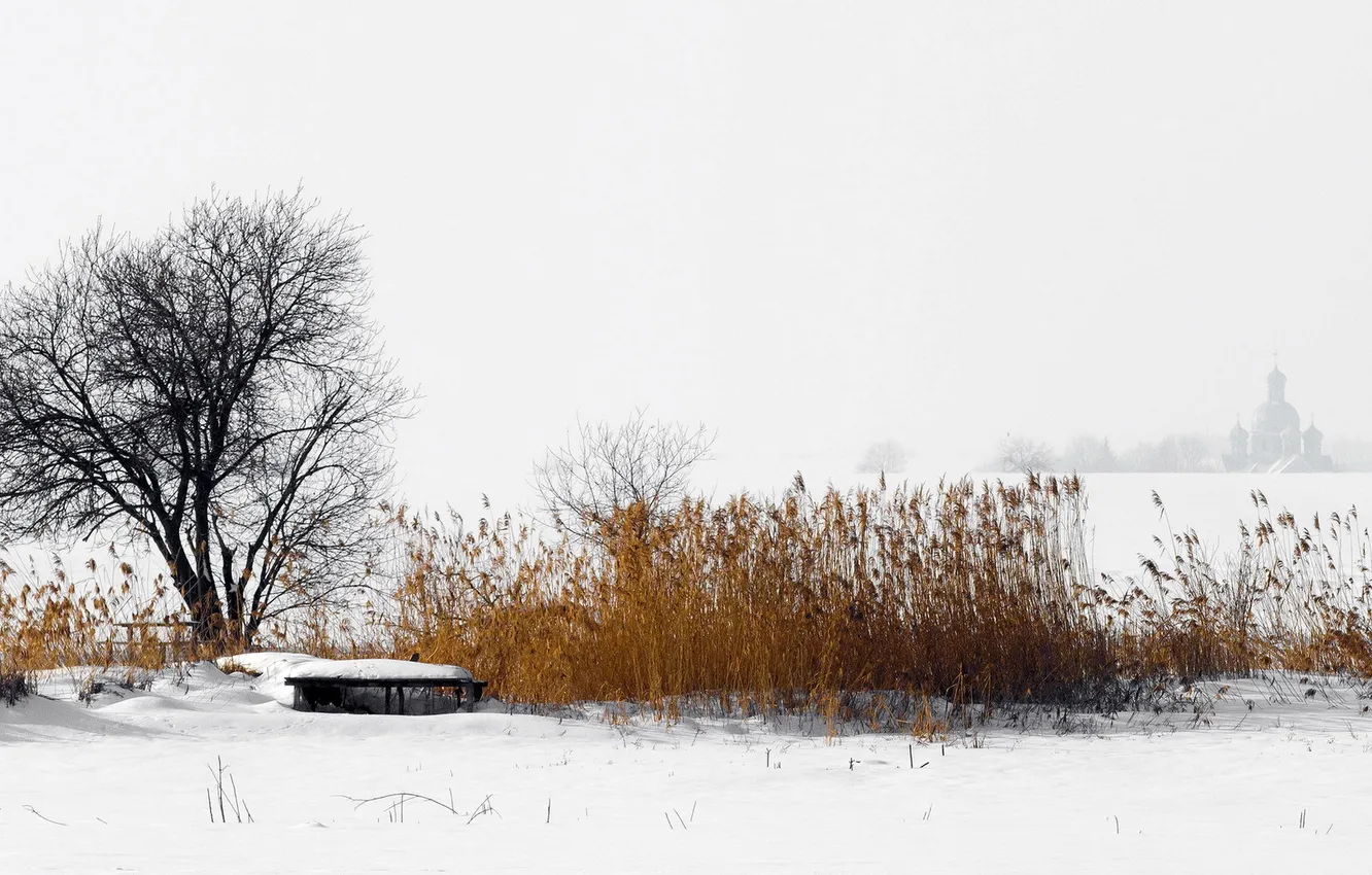 Фото обои зима, поле, туман