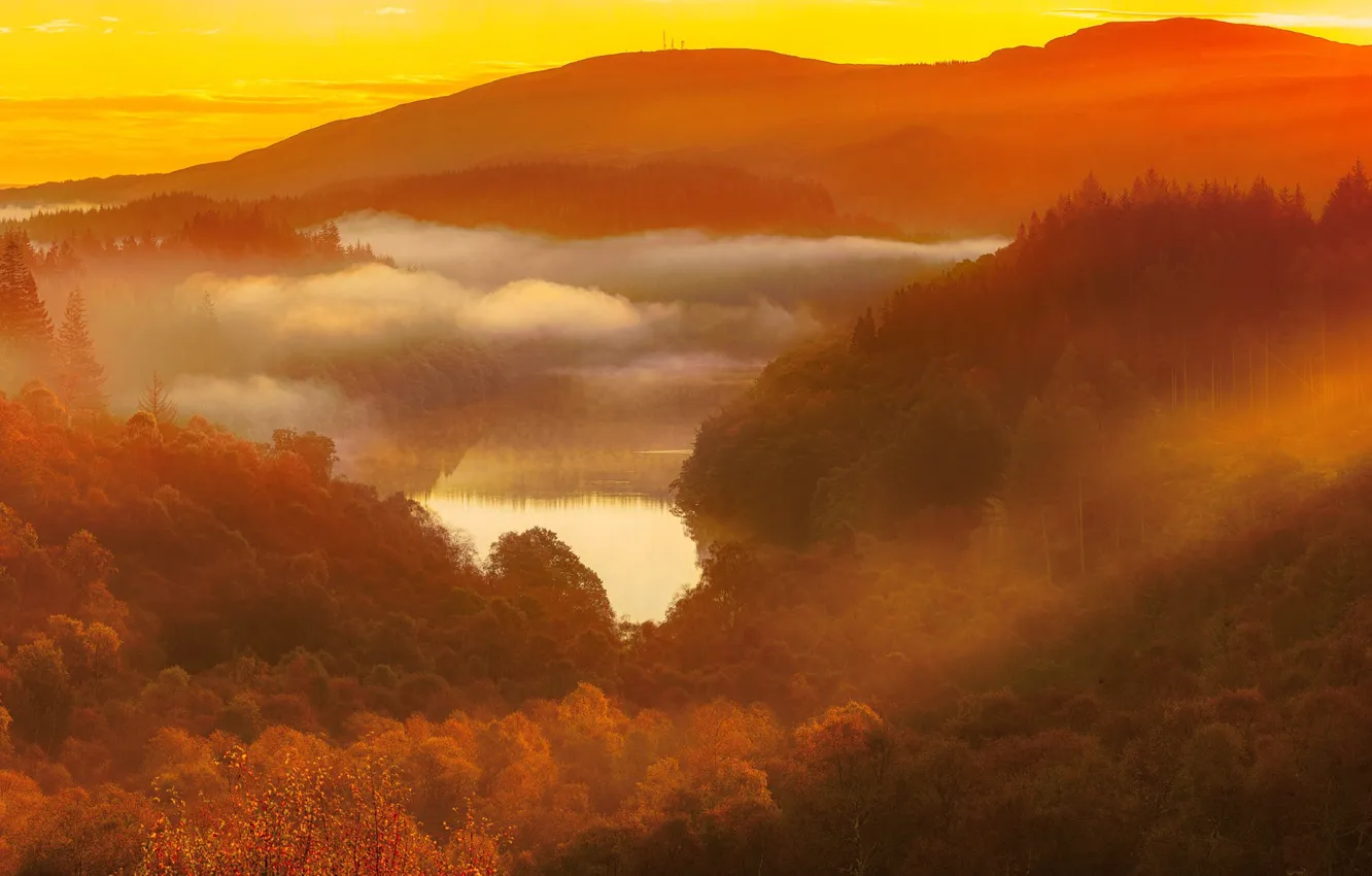 Фото обои осень, лес, горы, озеро, панорама