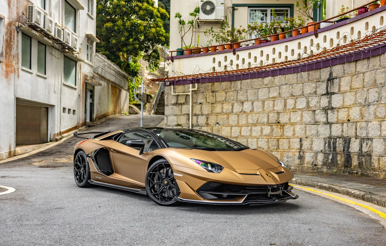 Фото обои Roadster, Lamborghini, Aventador, Lamborghini Aventador, Road, Supercar, 2024, Lamborghini Aventador SVJ Roadster