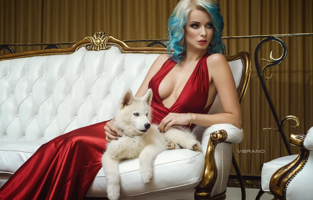 Фото обои девушка, поза, стиль, модель, собака, щенок, декольте, красное платье