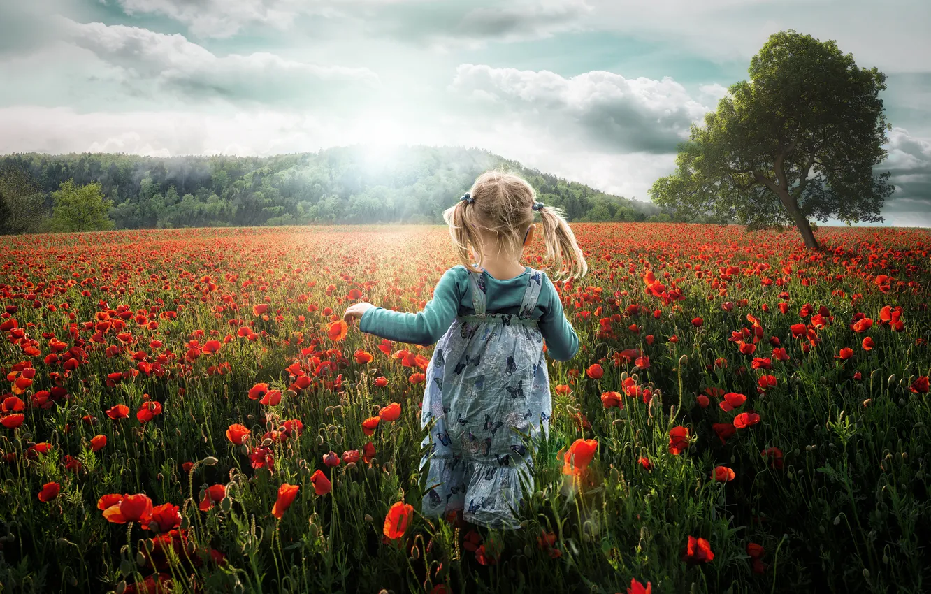 Фото обои поле, лето, небо, трава, цветы, настроение, мак, ребенок