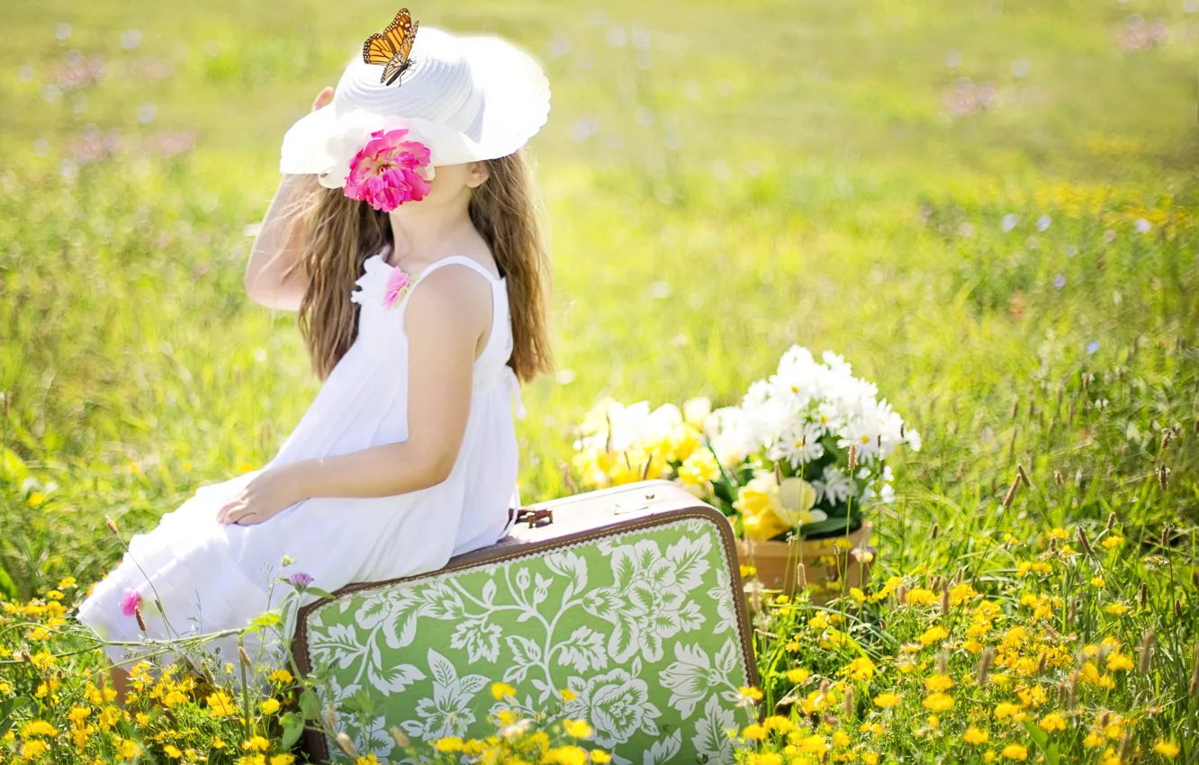 Фото обои поле, лето, цветы, природа, коллаж, бабочка, шляпа, девочка