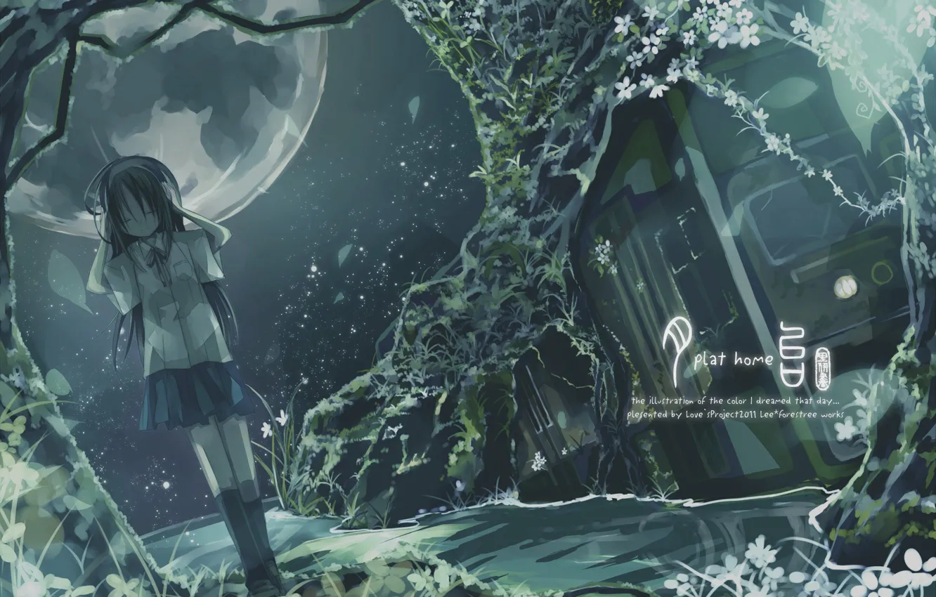 Фото обои девушка, звезды, деревья, ночь, луна