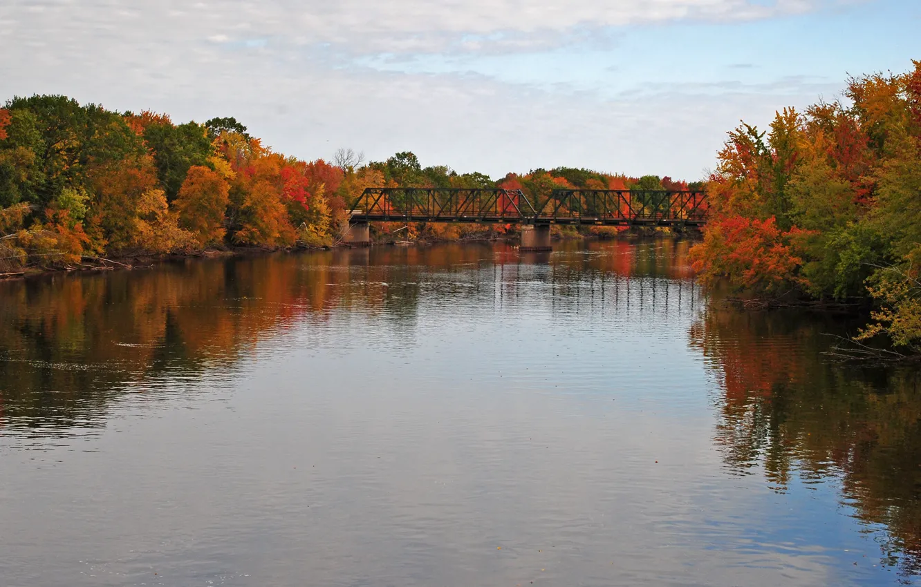 Фото обои Осень, Озеро, Nature, Цвета, Bridge, Autumn, Colors, Мостик