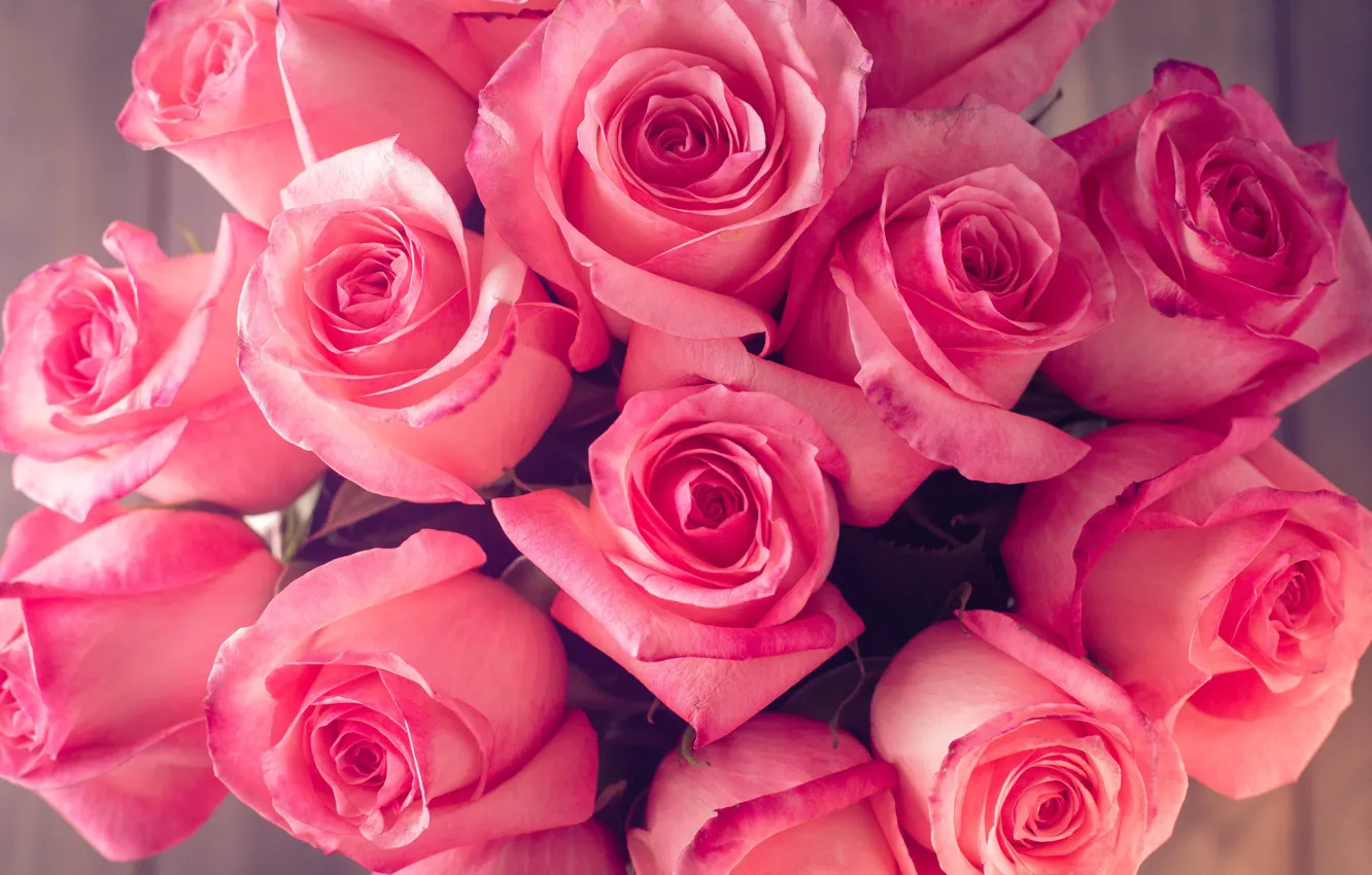 Фото обои розы, букет, pink, roses, bouguet, Abelena