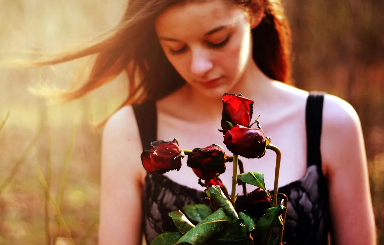 Фото обои девушка, цветы, настроение, розы