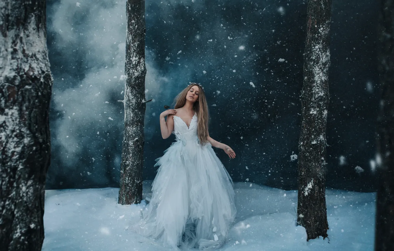 Фото обои зима, лес, девушка, снег, ночь, поза, туман, стволы