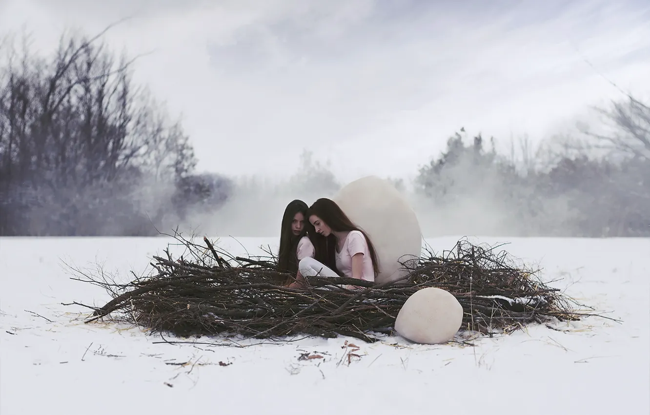 Фото обои зима, девушки, гнездо