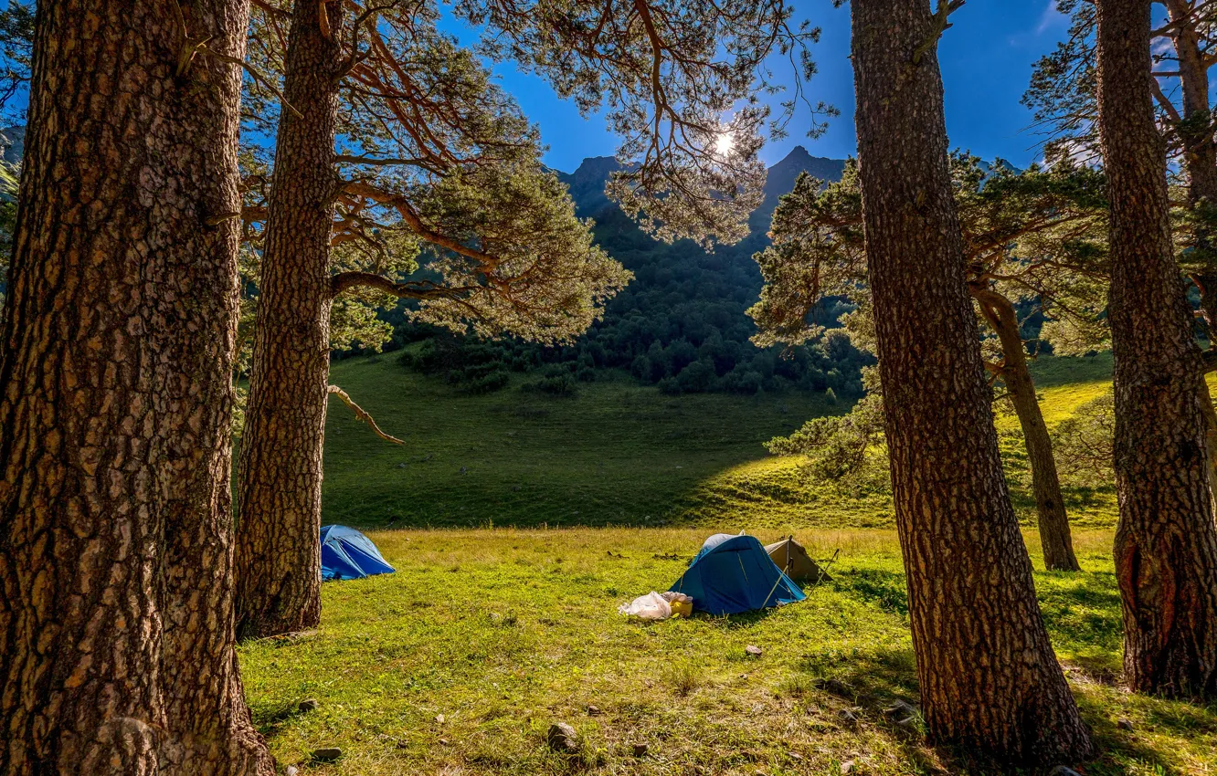 Фото обои деревья, пейзаж, горы, природа, Кавказ, туристы, палатки