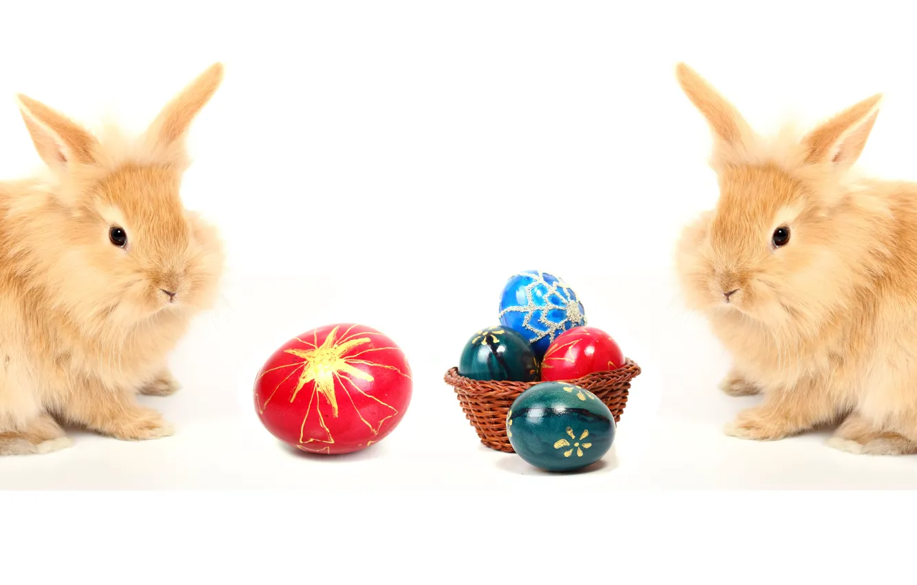 Фото обои яйцо, пасха, пара, кролики, easter