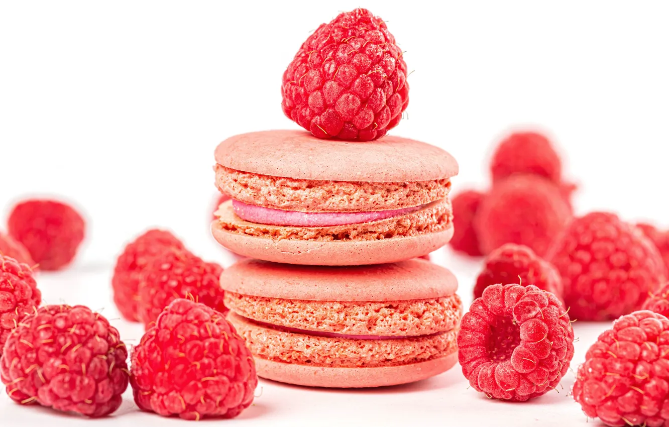 Фото обои ягоды, малина, печенье, выпечка, Macaron, макарун