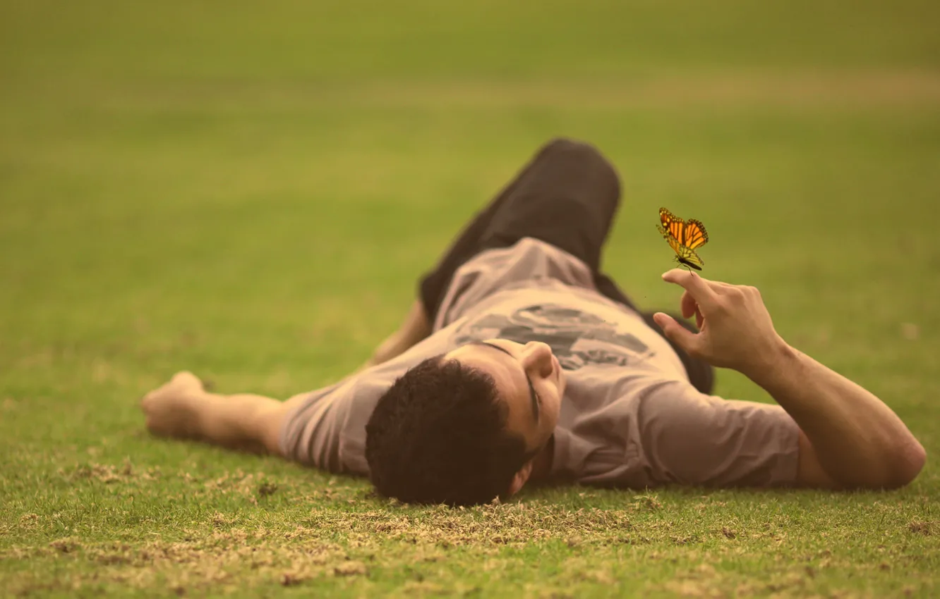 Фото обои grass, field, butterfly, man, lying down