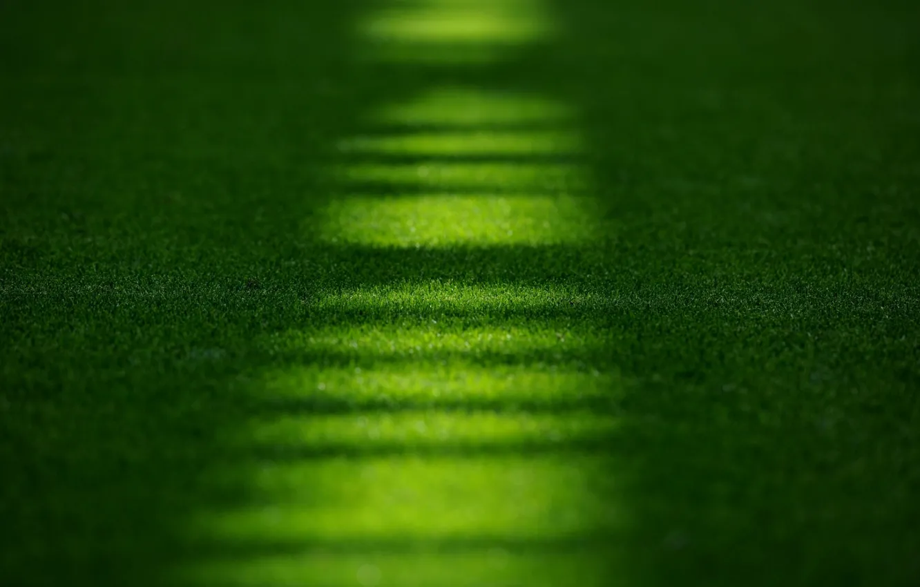 Фото обои поле, трава, макро, газон, стадион, Emirates, Stadium, Эмирейтс