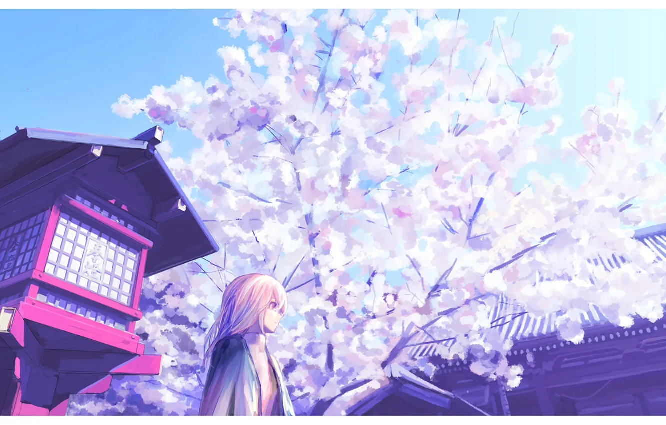 Фото обои девушка, весна, сакура, храм
