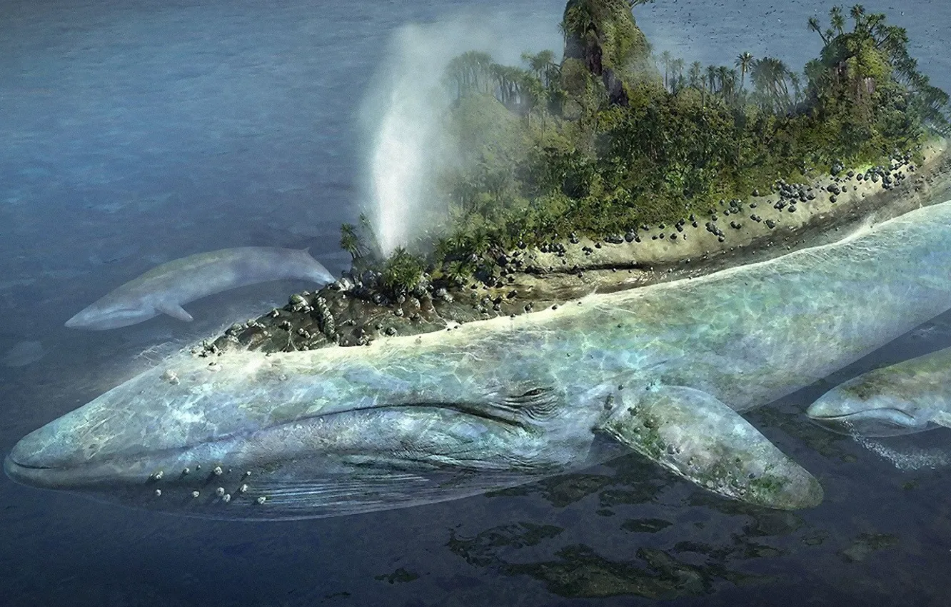 Фото обои вода, остров, кит
