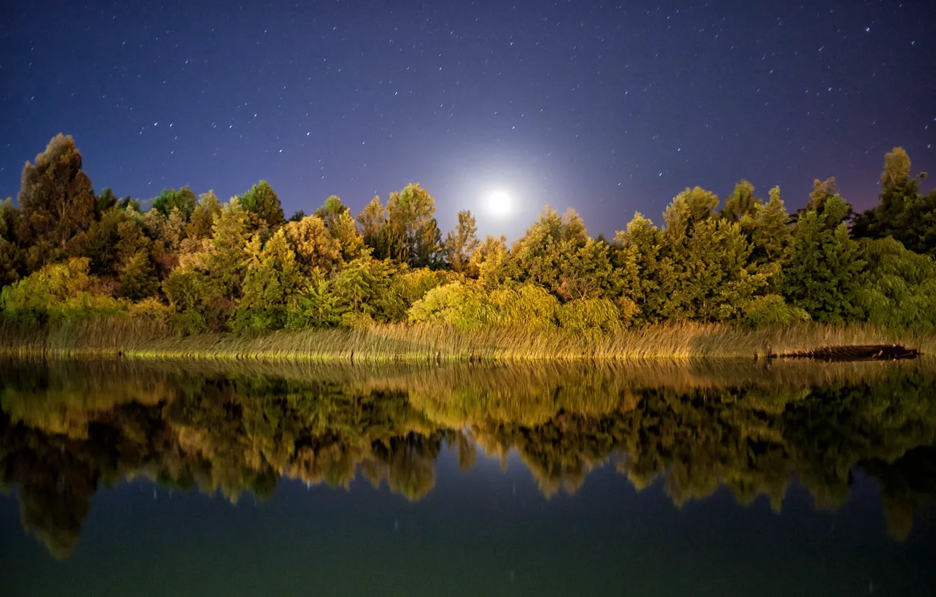 Фото обои звезды, отражение, зеркало, лунный свет, деревья озеро