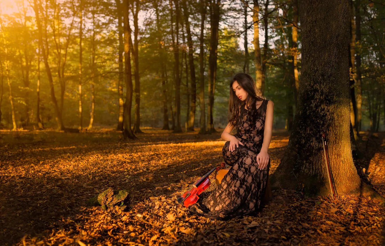 Фото обои осень, лес, девушка, скрипка, скрипачка