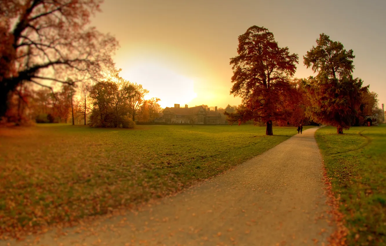 Фото обои осень, природа, парк, англия, прогулка