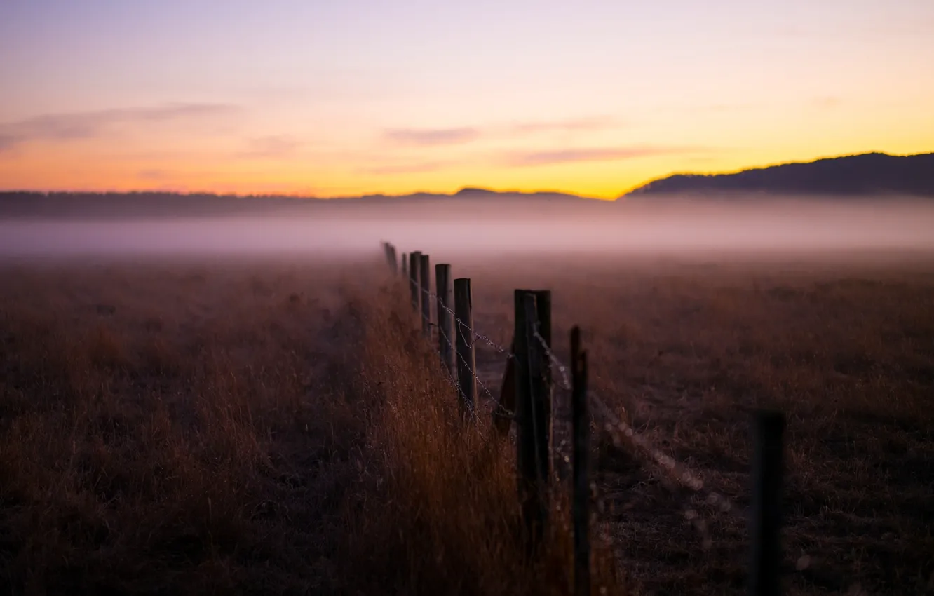 Фото обои природа, туман, фон, обои, растения, размытие, ограждение, wallpaper