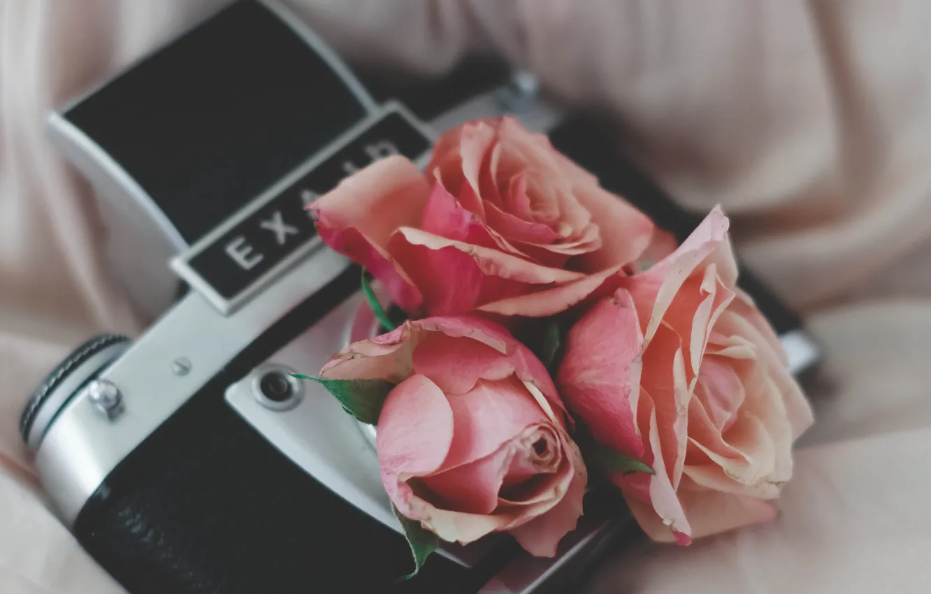 Фото обои Фотоаппарат, Розы, Roses, Hi-Tech