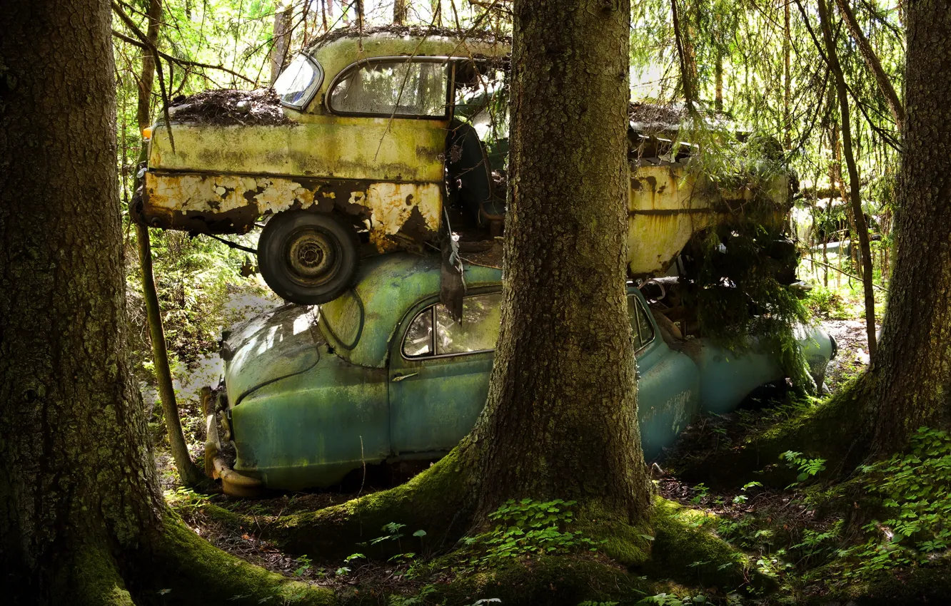 Фото обои лес, машины, лом