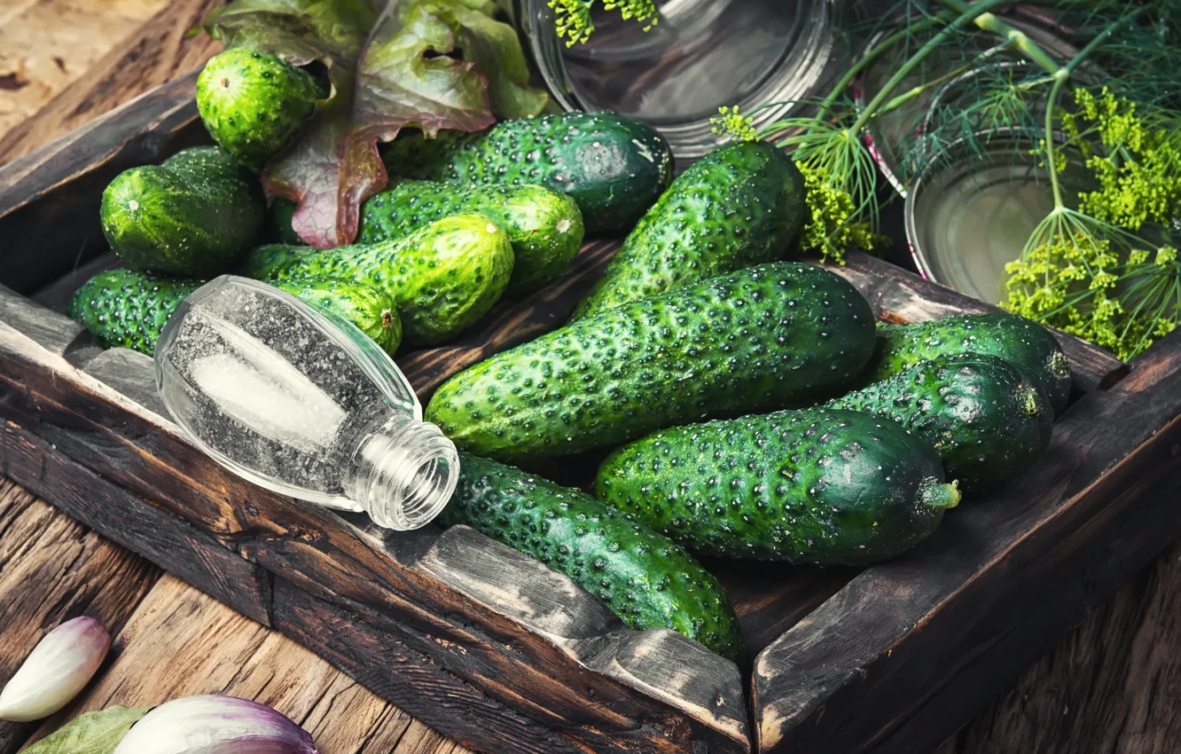 Фото обои зелень, банка, перец, овощи, петрушка, огурцы, чеснок, разносол