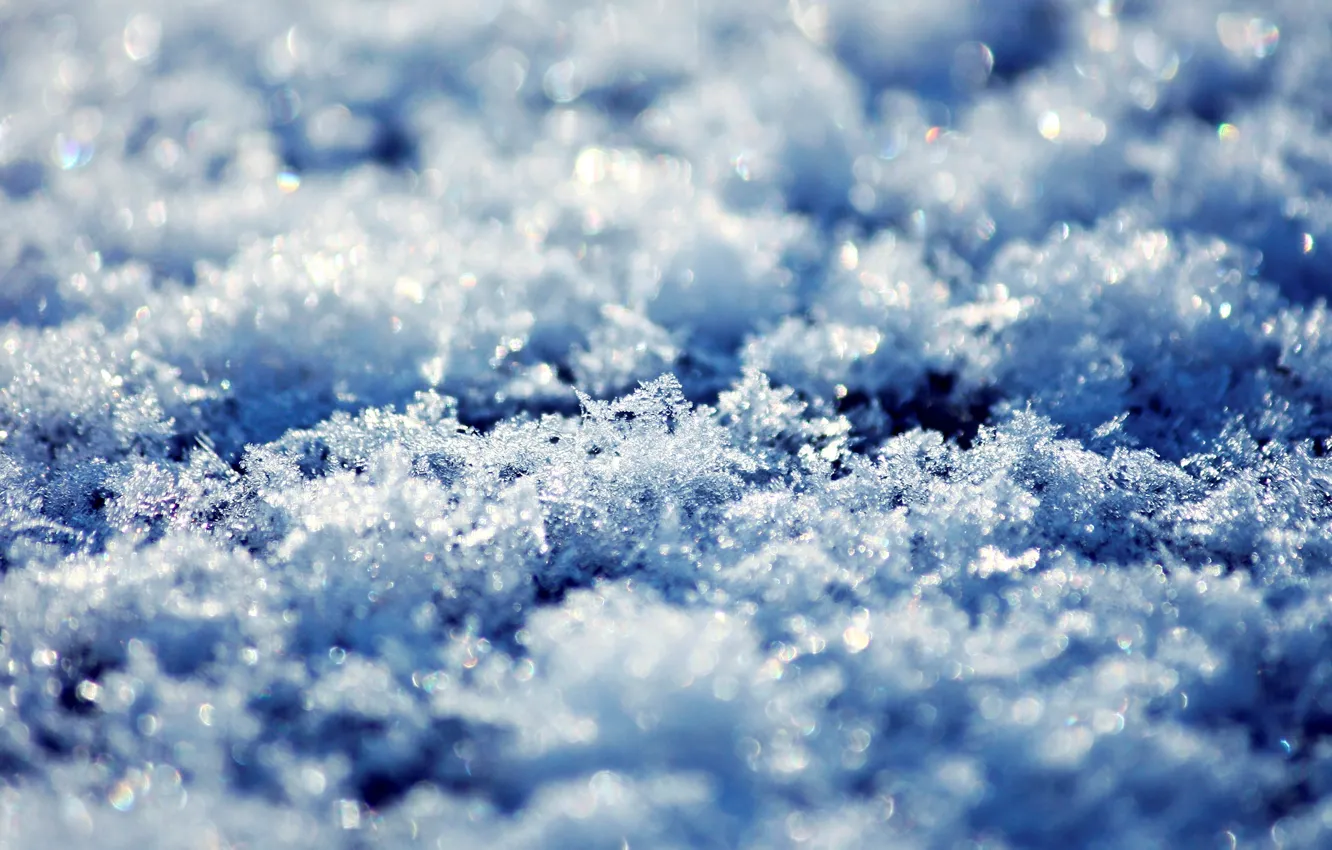 Фото обои зима, снег, снежинки, льдинки
