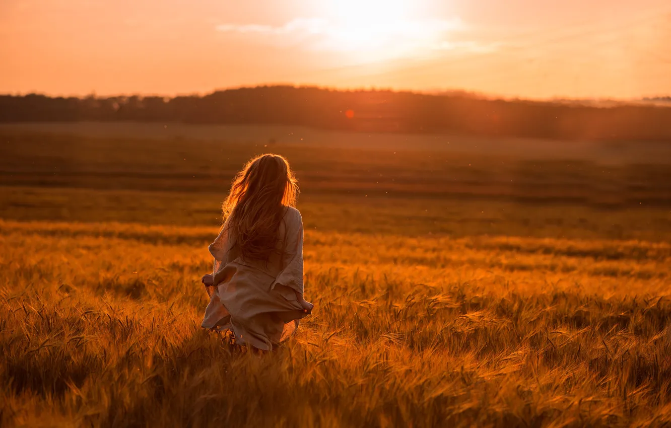 Фото обои поле, девушка, закат, спина, вечер, Татьяна Гуз