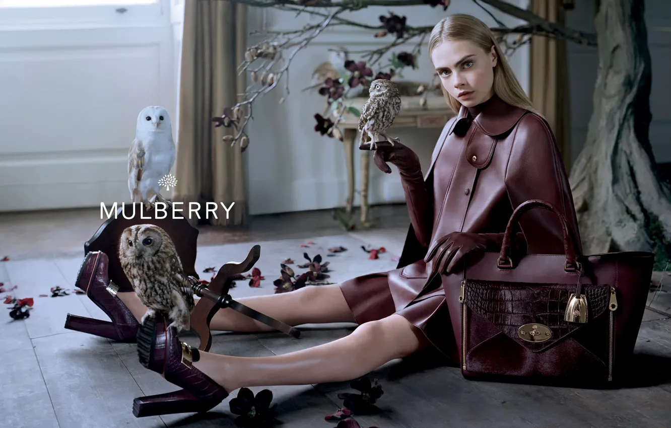 Фото обои кожа, сумочка, совы, бренд, Mulberry, Cara Delevingne