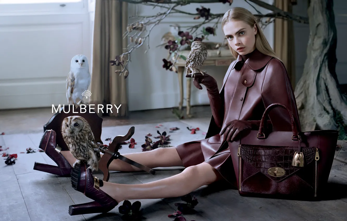 Фото обои сова, кожа, сумочка, бренд, Mulberry, Cara Delevingne