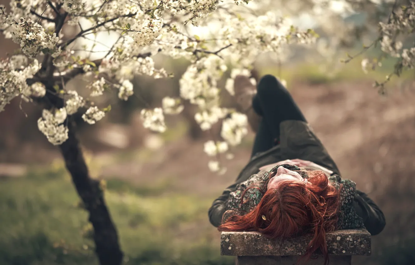 Фото обои девушка, весна, сад, скамья