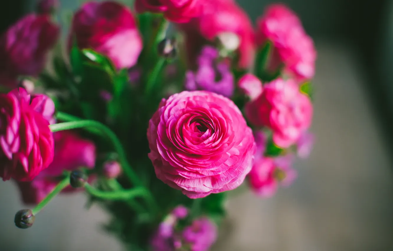 Фото обои цветы, букет, лепестки, розовые, боке, Лютики