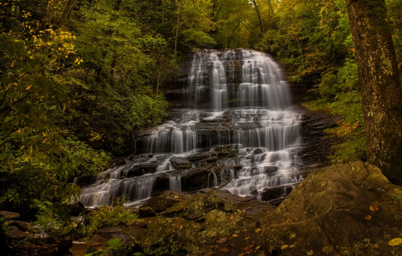 Фото обои осень, лес, водопад, каскад, North Carolina, Северная Каролина, Pearson's Falls, Салуда