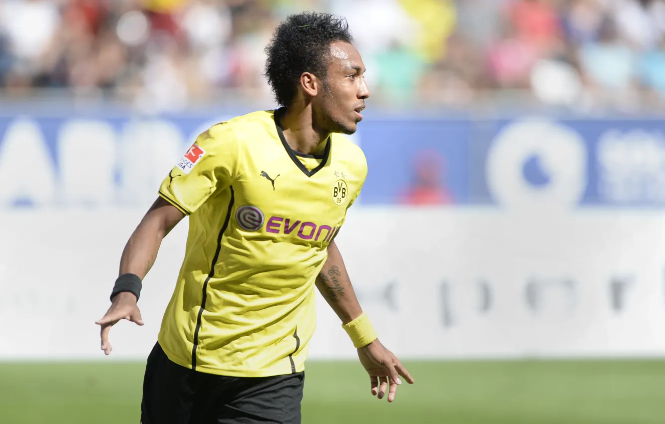 Фото обои Спорт, Футбол, Football, Sport, BVB, Дортмунд, Боруссия, Borussia