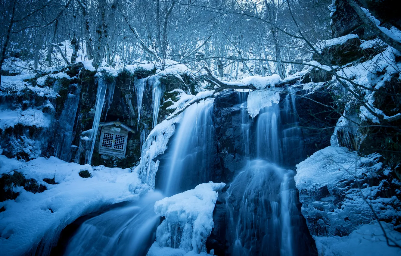 Фото обои зима, лес, вода, снег, ветки, природа, камни, скалы
