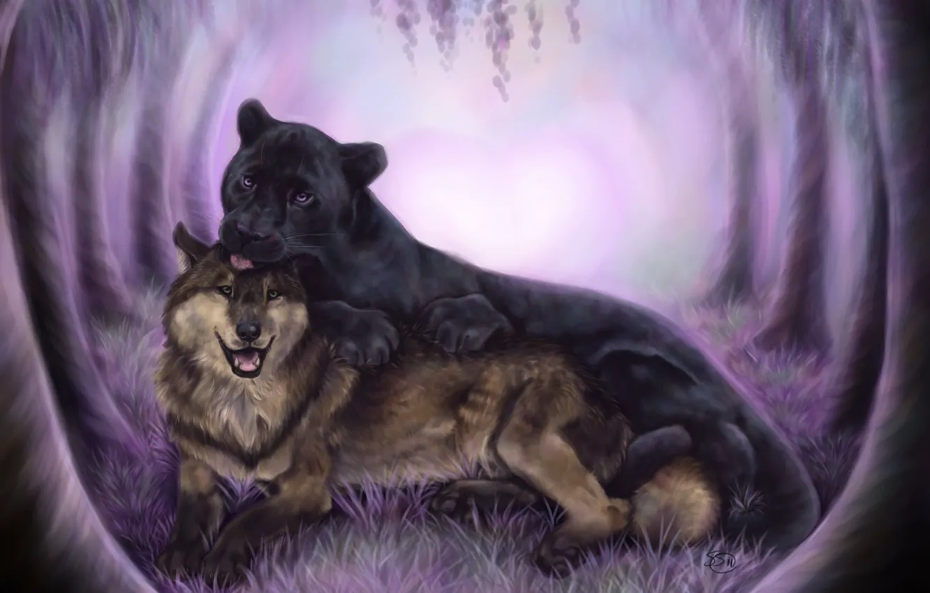 Фото обои животные, волк, хищники, пантера, арт, дружба, черная
