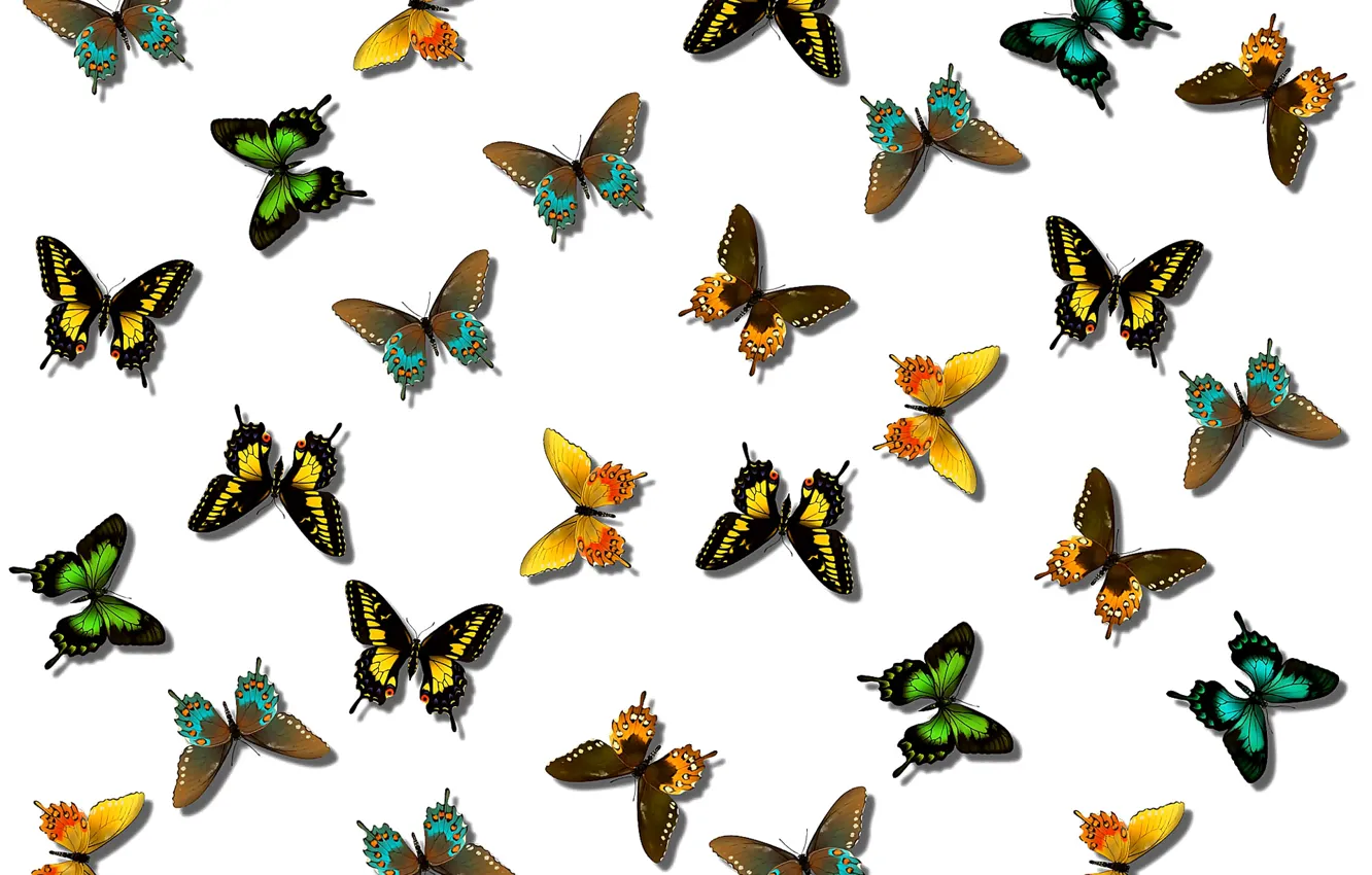 Фото обои узор, бабочка, краски, цвет, крылья, мотылек